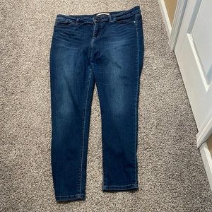 Joe’s Jean.  Skinny jean.  Size 34